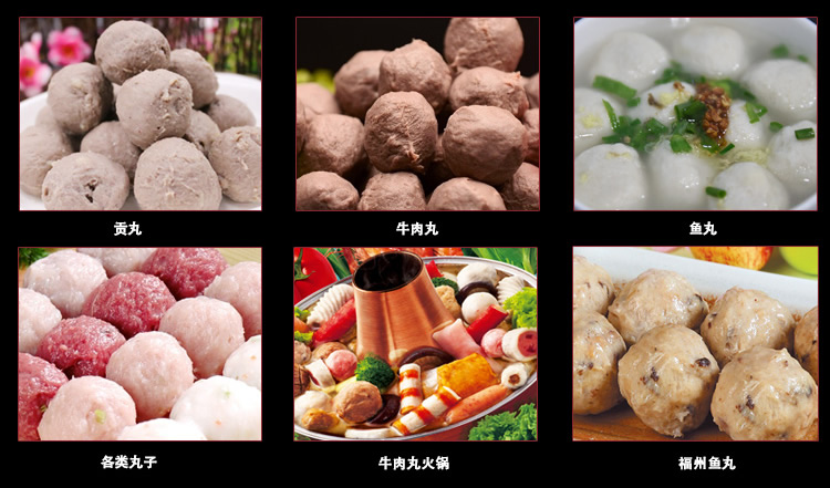 可制作的各類肉丸